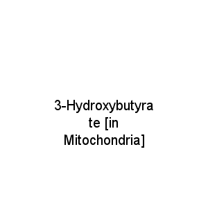 3-Hydroxybutyrate [in Mitochondria]